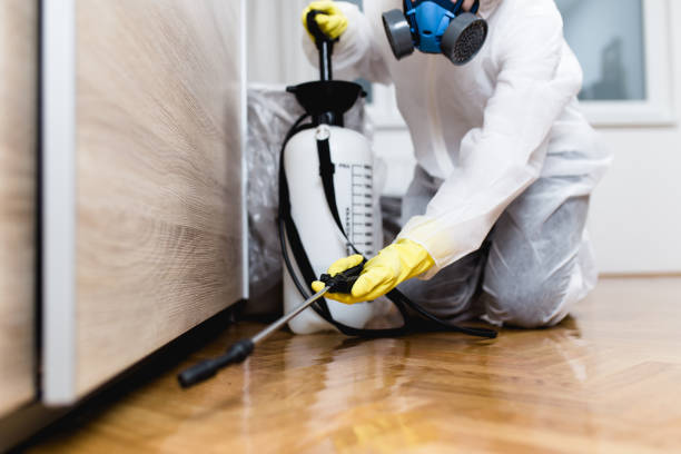 Best Affordable Pest Control Services  in Romeo, MI