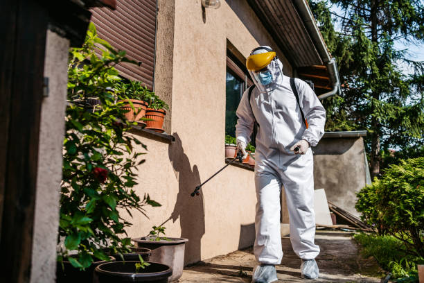 Best Commercial Pest Control Services  in Romeo, MI