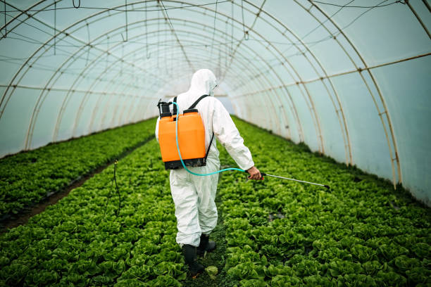 Best Affordable Pest Control Services  in Romeo, MI