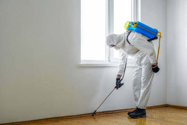 Best Wasp Removal Services  in Romeo, MI