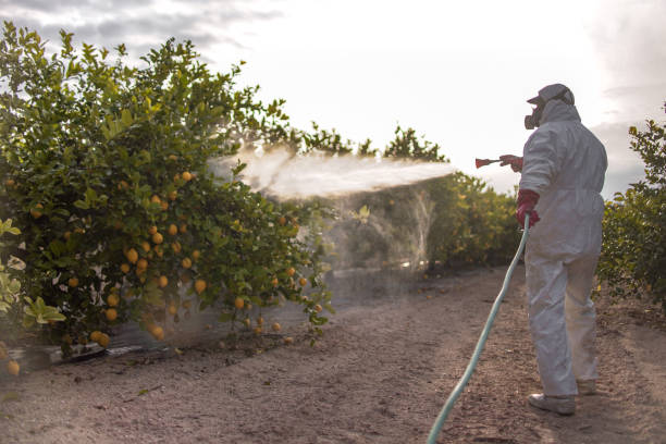 Best Pest Removal Services  in Romeo, MI