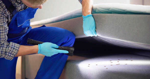Best Cockroach Control Services  in Romeo, MI