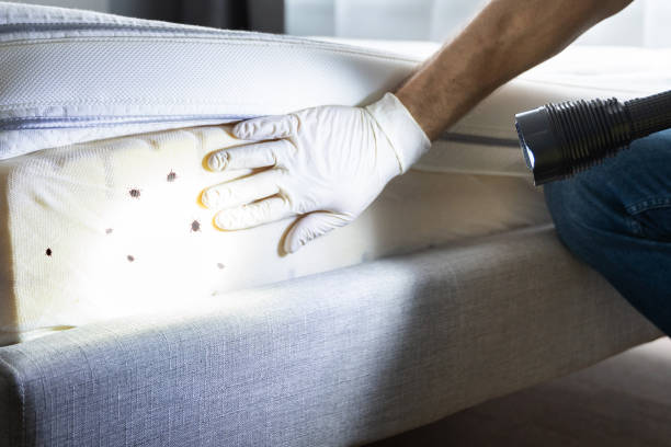 Best Wildlife Control Services  in Romeo, MI