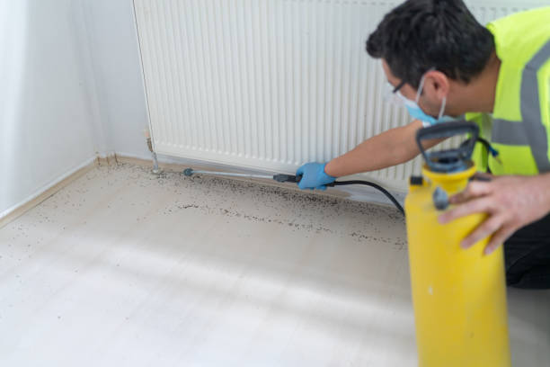 Best Best Pest Control Companies  in Romeo, MI